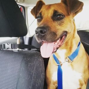 Meet your Posher, Victoria